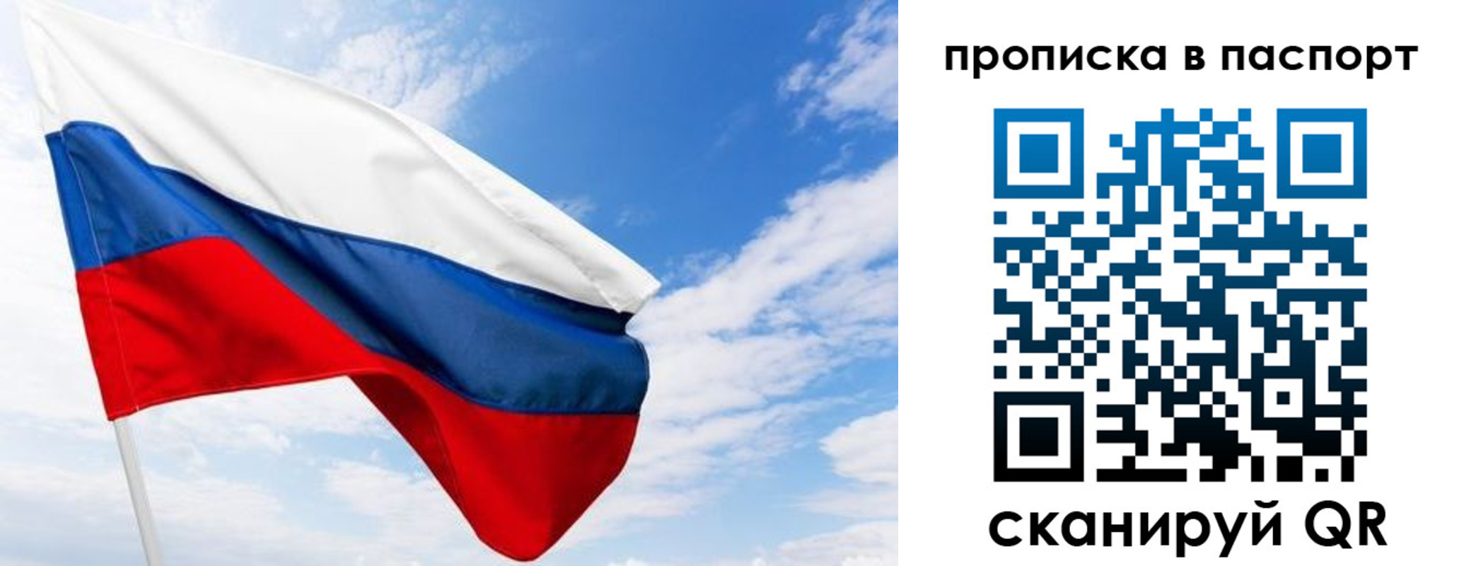 прописка поиск в Арамили